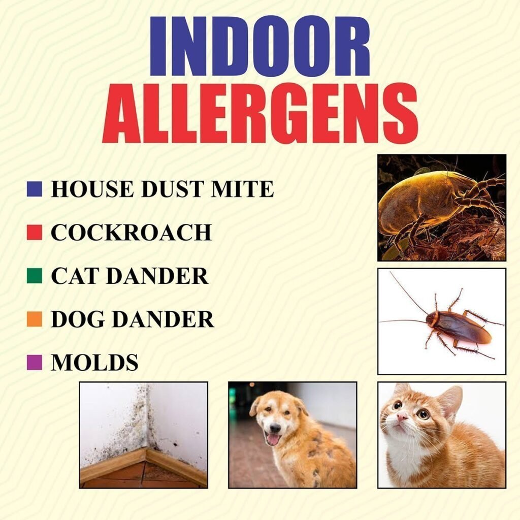 Indoor Allergens: Symptoms, Treatment & Medications
