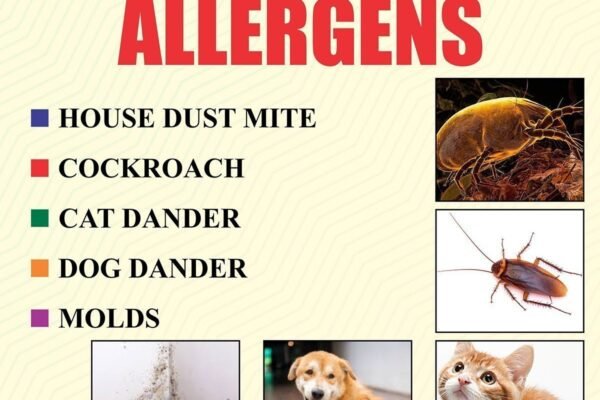 Indoor Allergens: Symptoms, Treatment & Medications