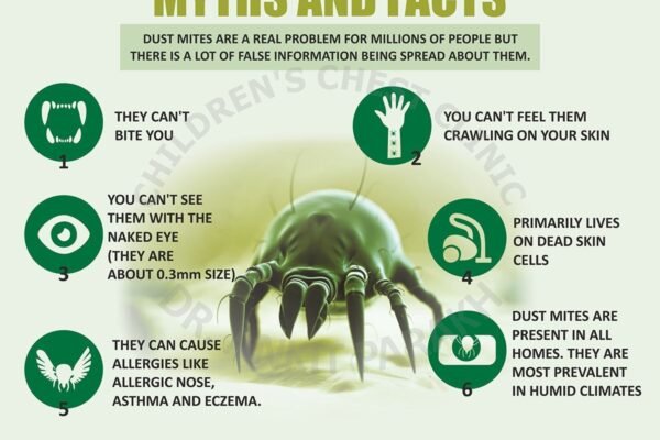 What are Dust Mites?