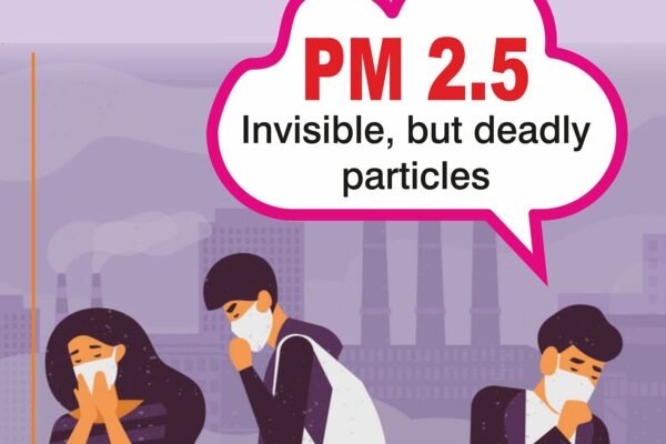 PM 2.5: the deadly air pollutant