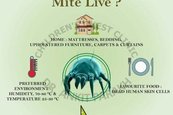 How does a House Dust mite live?