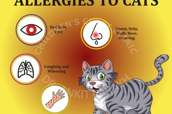 SYMPTOMS OF ALLERGIES TO CATS