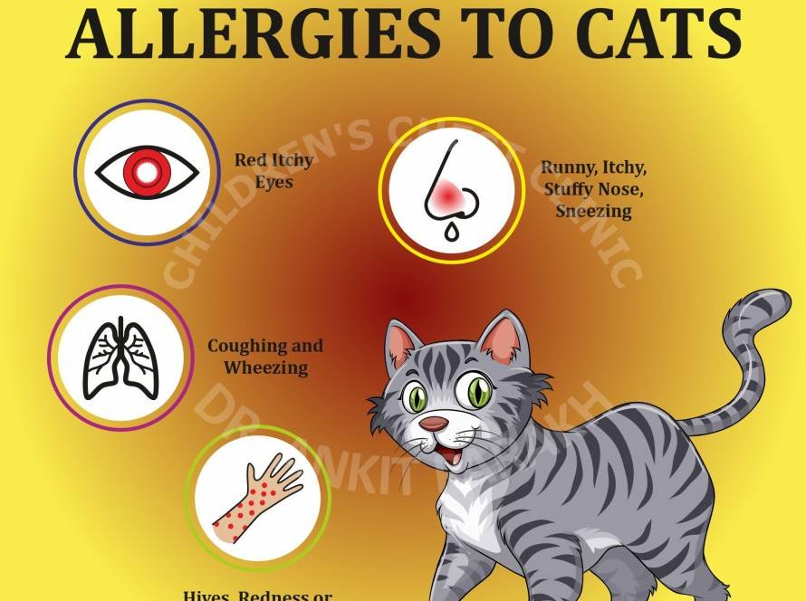SYMPTOMS OF ALLERGIES TO CATS
