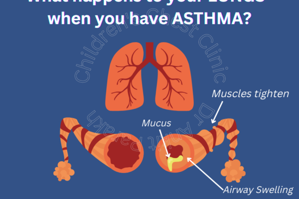 What happens to lungs in Asthma