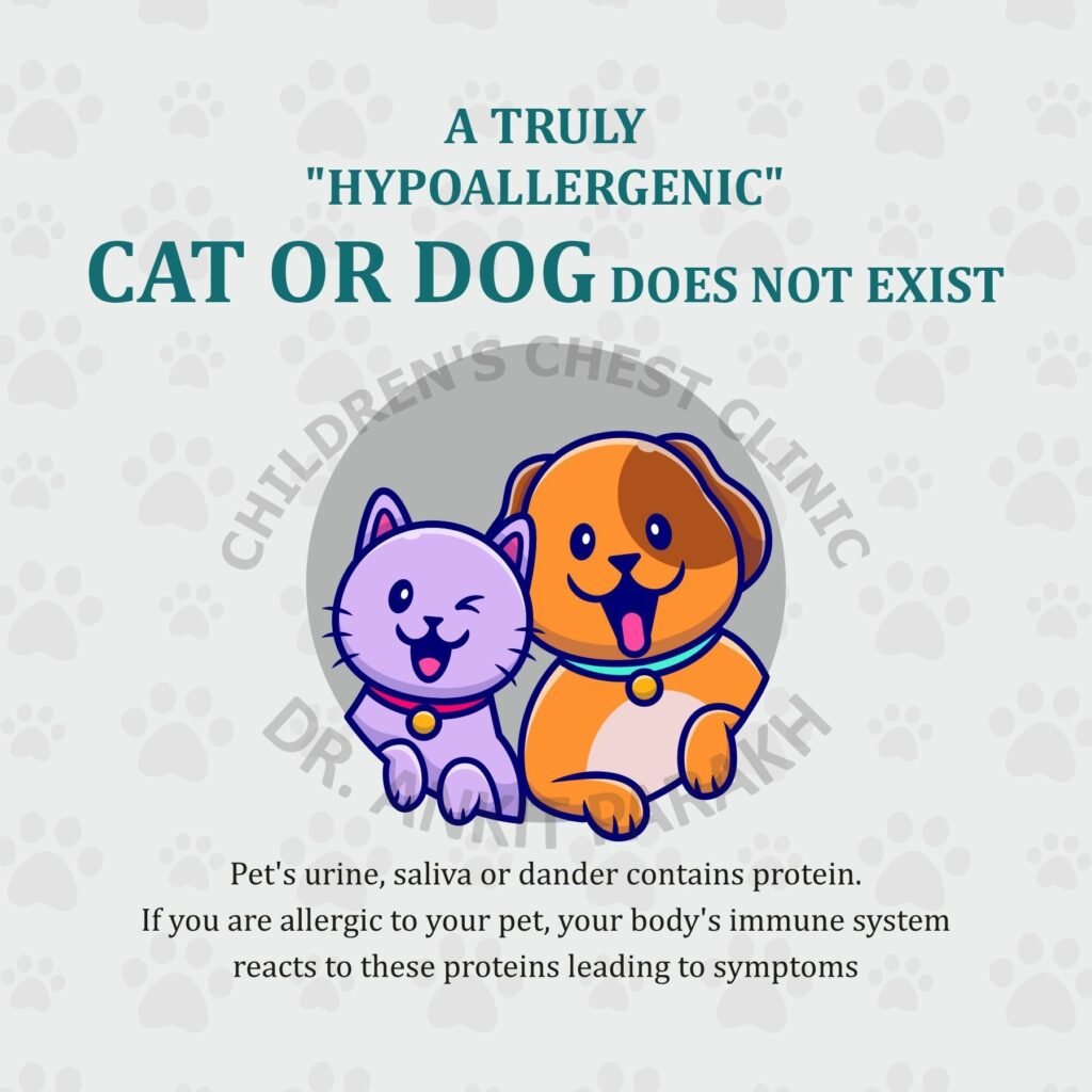 Hypoallergenic Pets