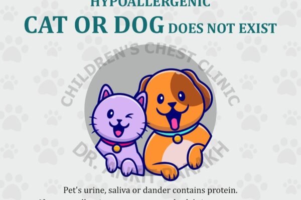 Hypoallergenic Pets