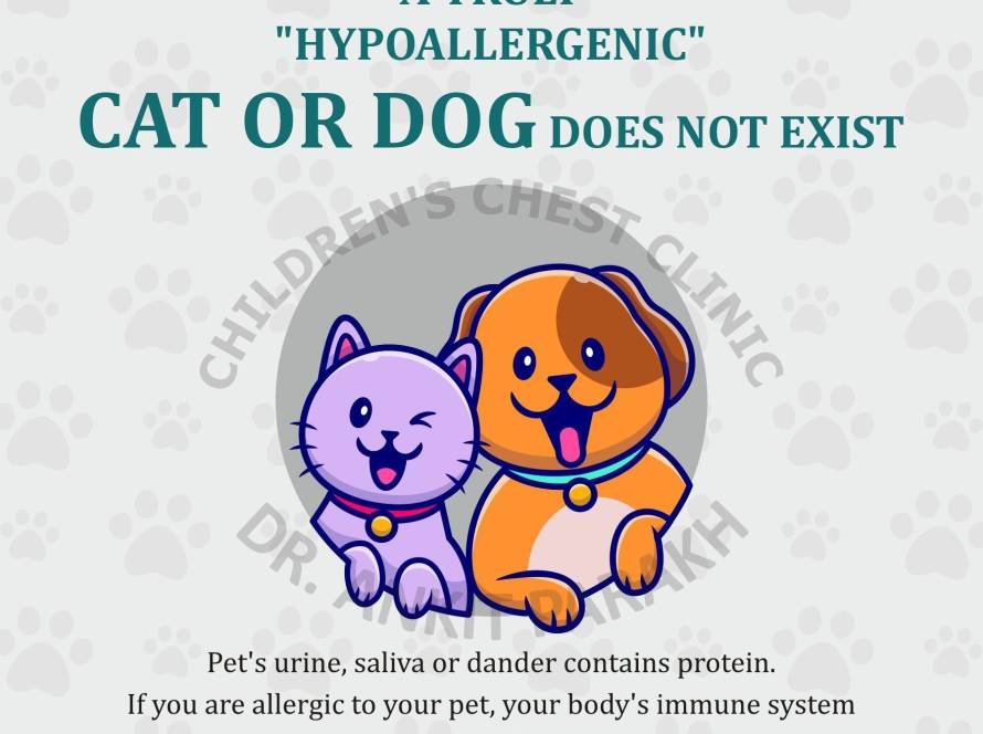 Hypoallergenic Pets