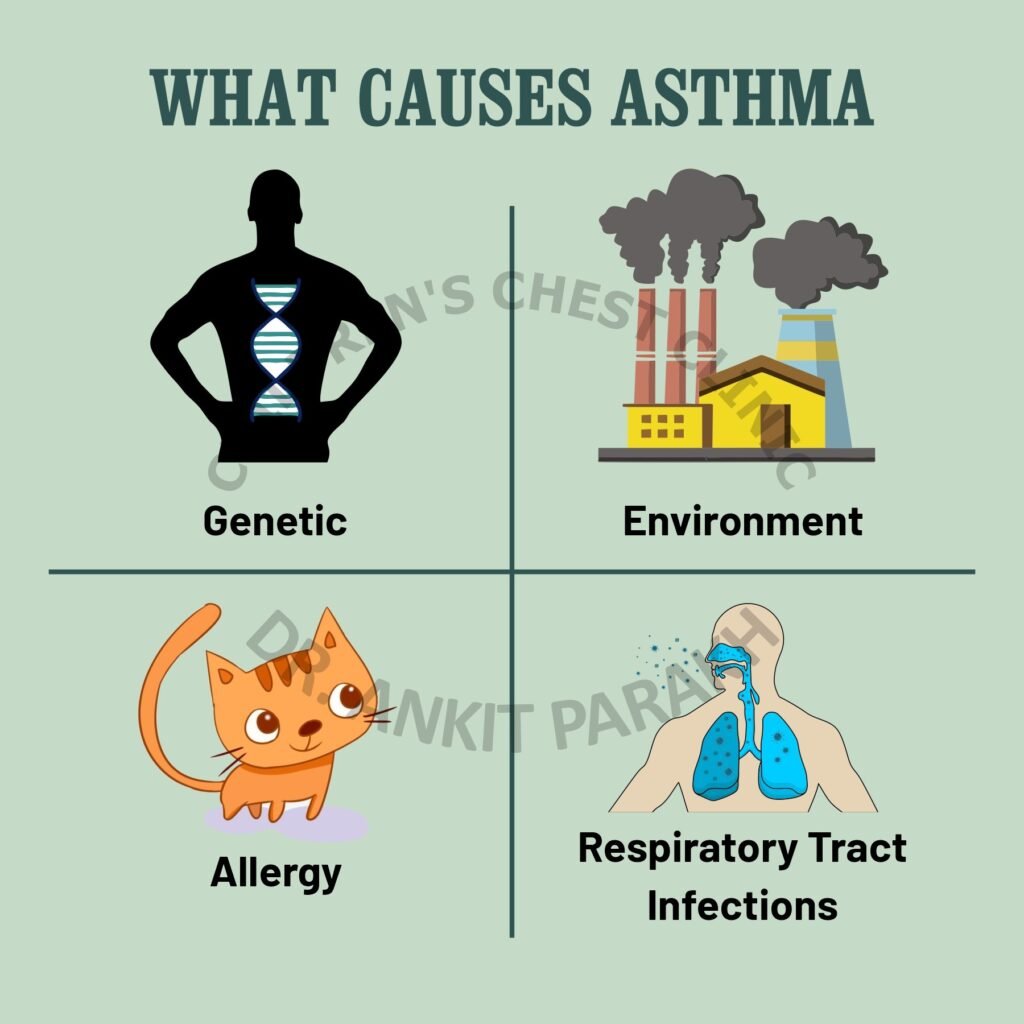 Do you know: What causes Asthma?