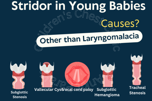 Stridor in Young Babies: Causes, Investigations, and Management